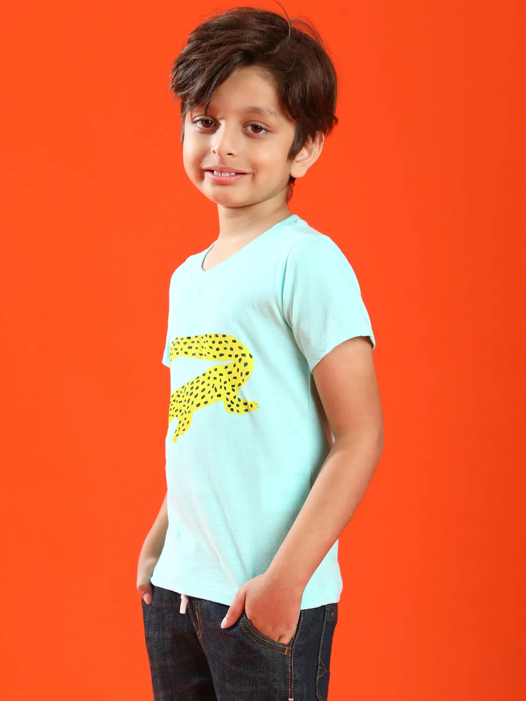 Boys Aqua 100% Cotton Printed T-shirt