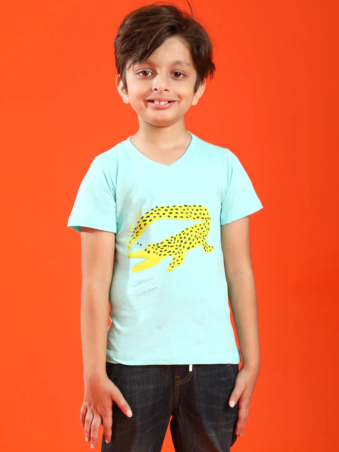 Boys Aqua 100% Cotton Printed T-shirt