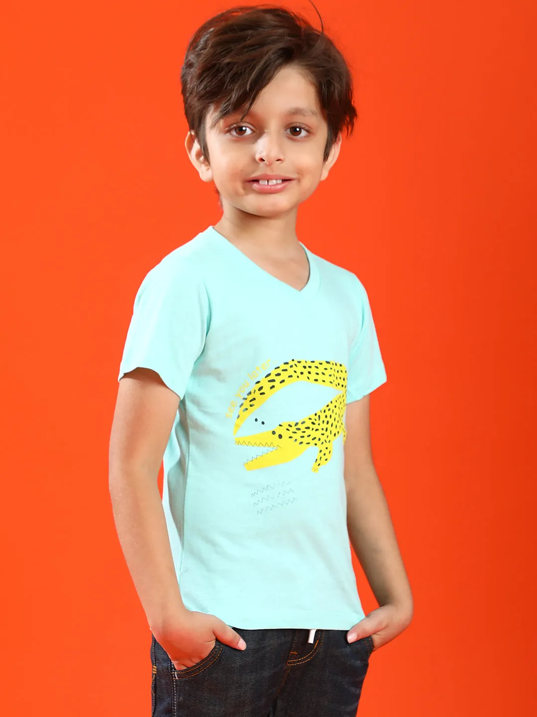 Boys Aqua 100% Cotton Printed T-shirt