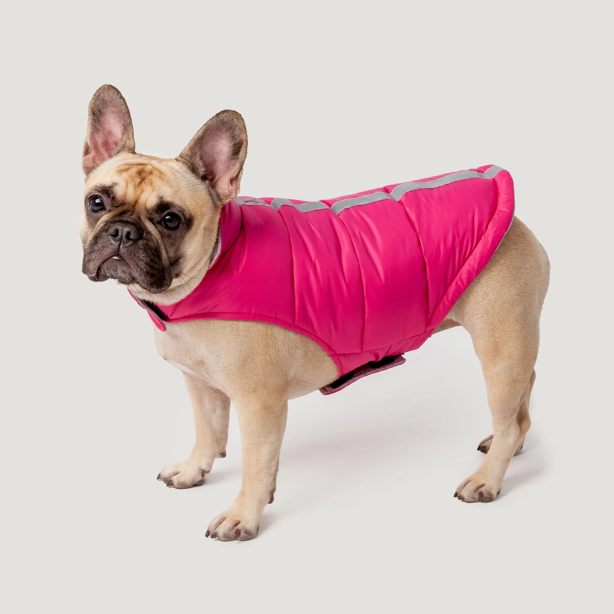 Dog Down Reversible Mock Jacket