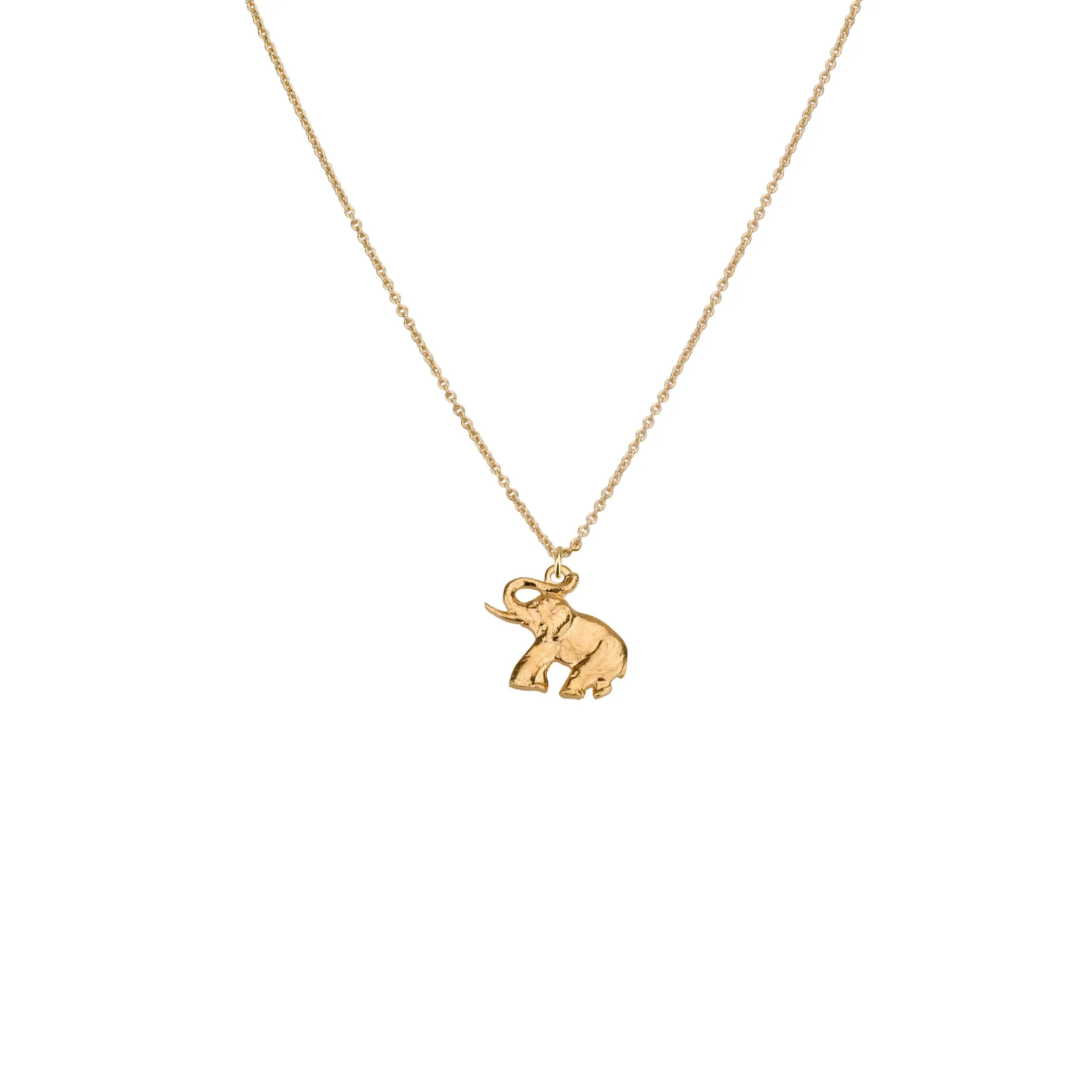 Elephant Pendant & Helen Chain Necklace